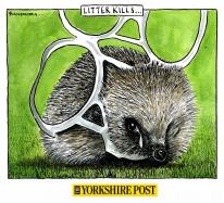 "Litter kills" Bandeira