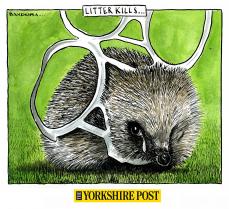 "Litter kills" Bandeira