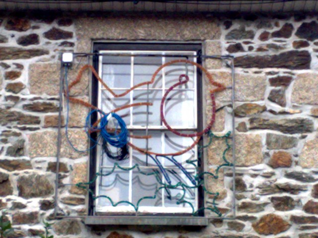 Robin waiting to be connected