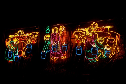  8 Maids a Milking 2013