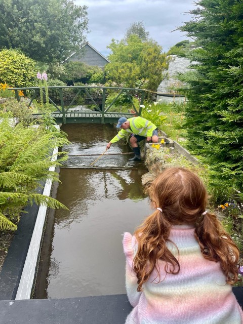 Fishing for the last yellow duck